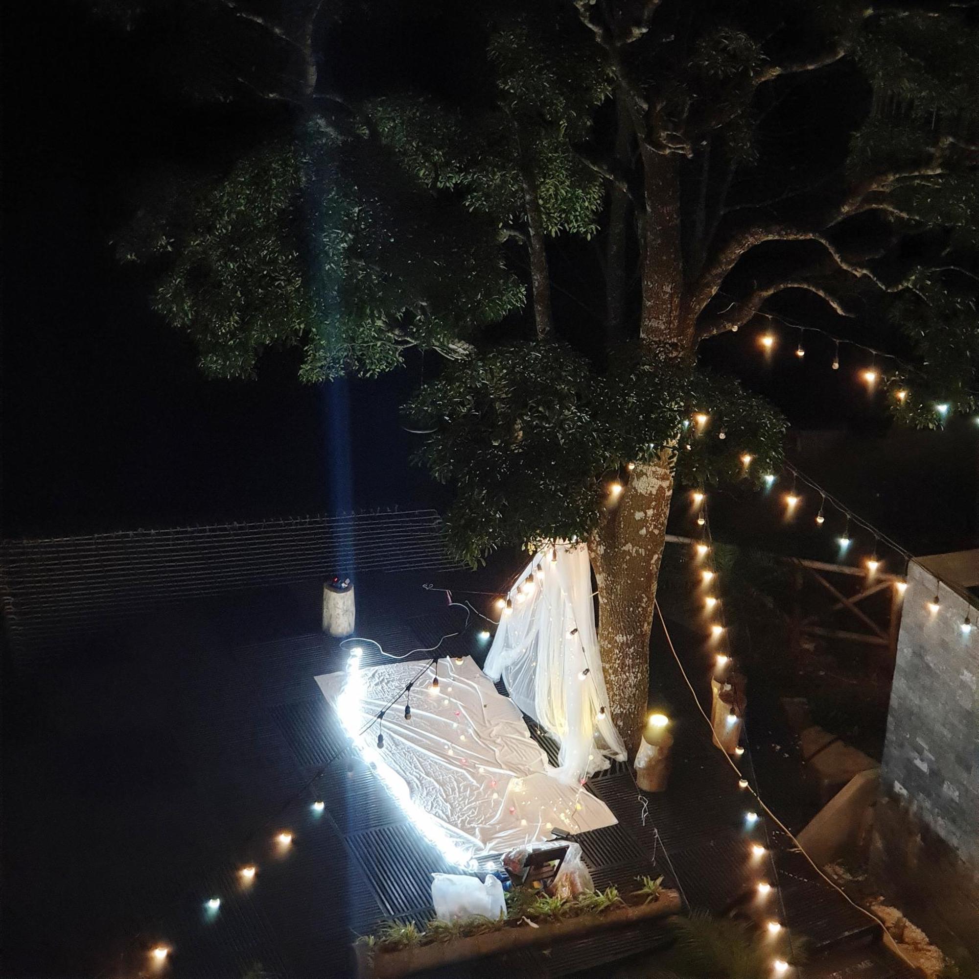 Le Vent Tam Dao Homestay Εξωτερικό φωτογραφία
